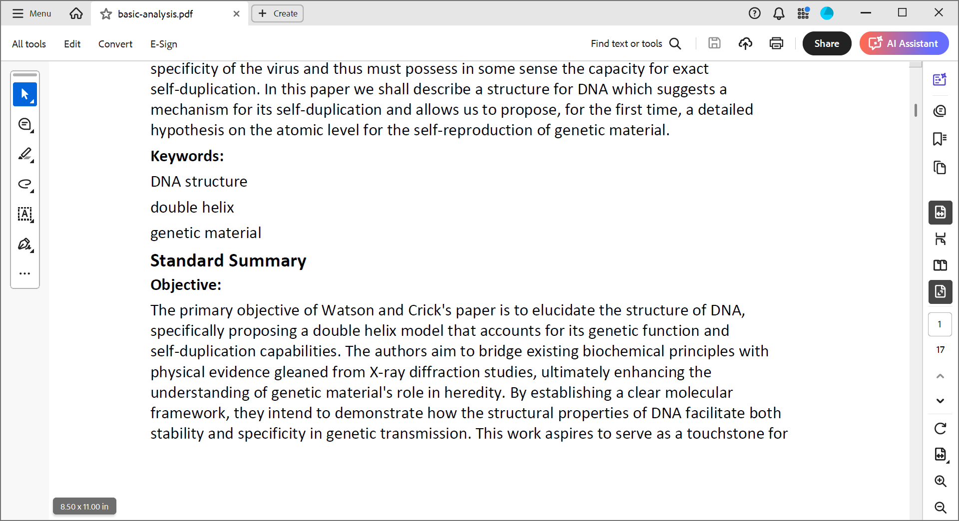 Preview of PDF report export